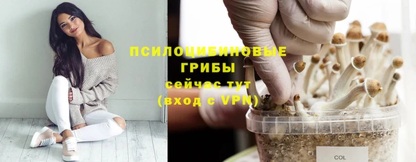 а пвп мука Вязьма