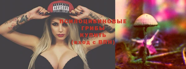 спиды Вязники