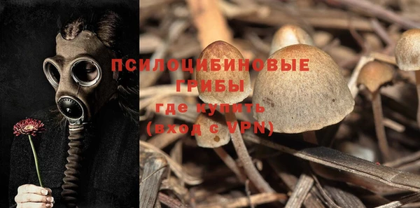 кристаллы Вяземский