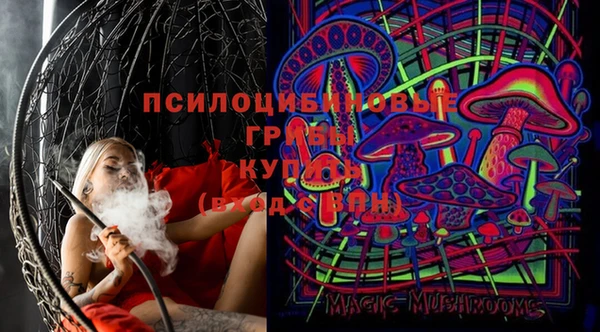 кристаллы Вяземский