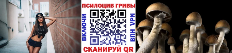 Галлюциногенные грибы Cubensis  Купить где  Белоярский 