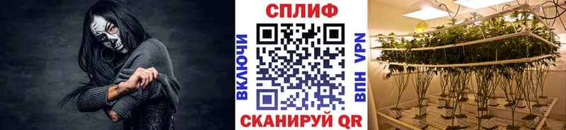 Бошки Шишки MAZAR  Купить закладки  Белоярский 